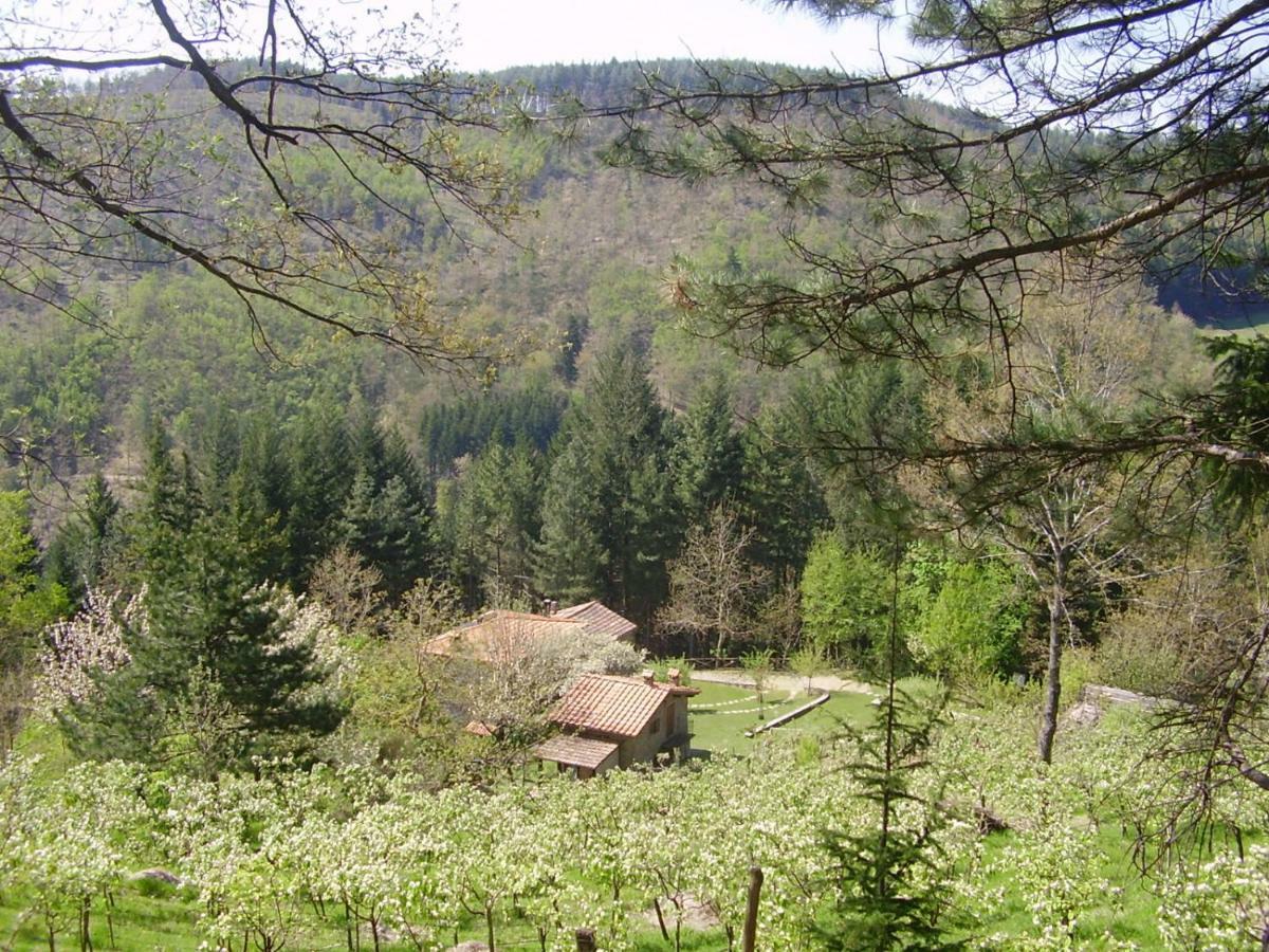 Casale Camalda Appartement Serravalle  Buitenkant foto